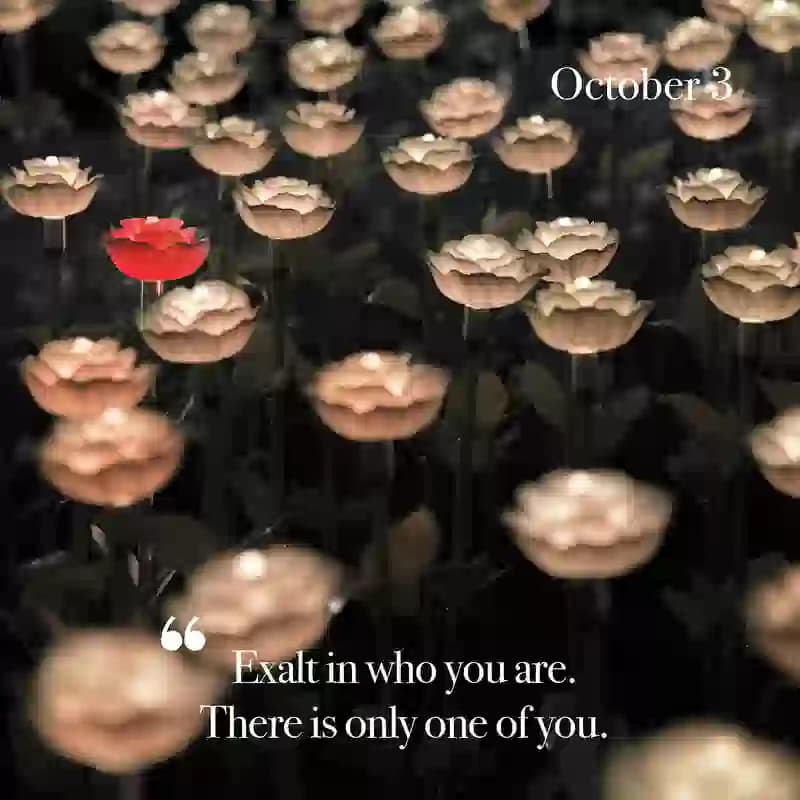 October 3 Reflection artwork